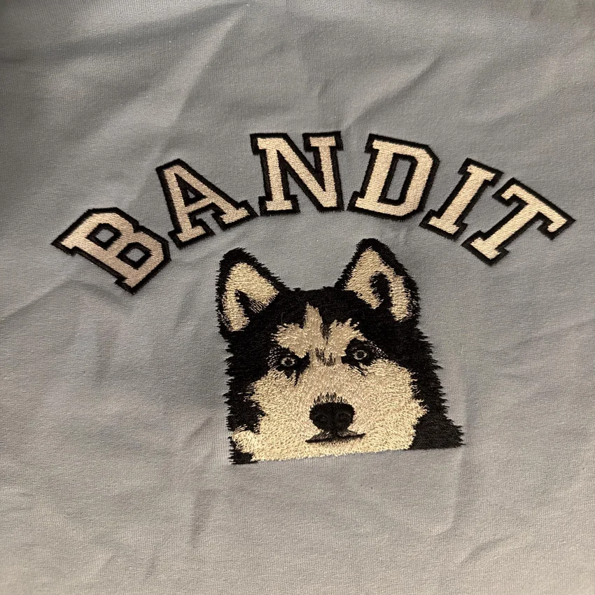 Embroidered pet portrait on a sweatshirt, stitched from a photo